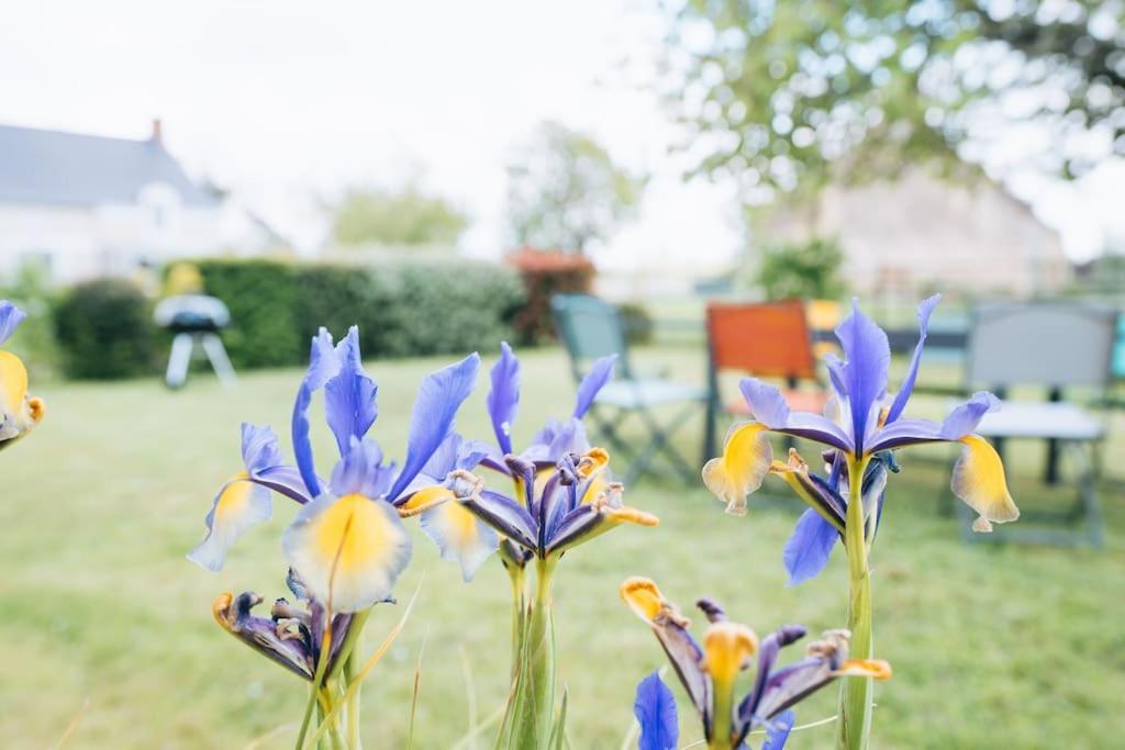Le Beaumont • La Belle Campagne • La Plenitude Villa Déols Exterior foto